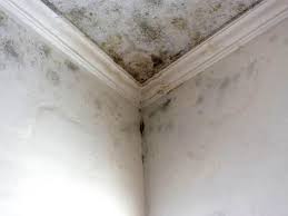 Best Mold Odor Removal Services  in Hot Springs Village, AR