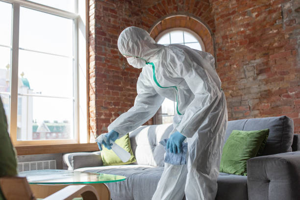 Best Asbestos and Lead Testing During Mold Inspection  in Hot Springs Village, AR