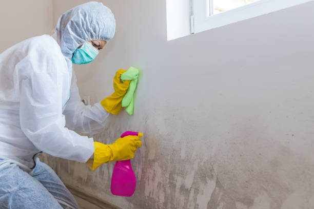 Best Mold Removal for HVAC Installations  in Hot Springs Village, AR